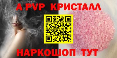 СК Сланцы